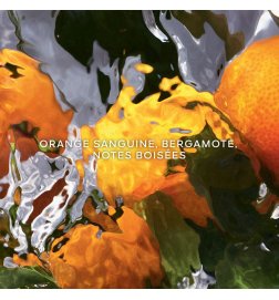 Aqua Allegoria Orange Soleia - Eau de Toilette